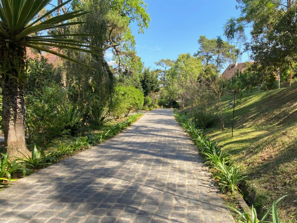 Lời nhắn gửi cho những tâm hồn yêu Đà Lạt